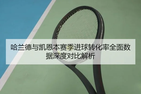 哈兰德与凯恩本赛季进球转化率全面数据深度对比解析